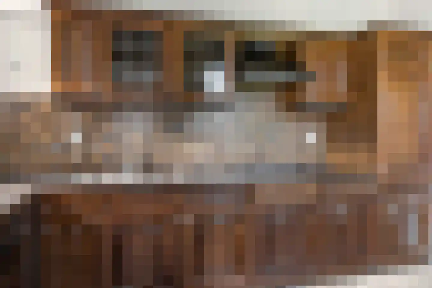 Buorren 89 Houtigehage thumbnail 16