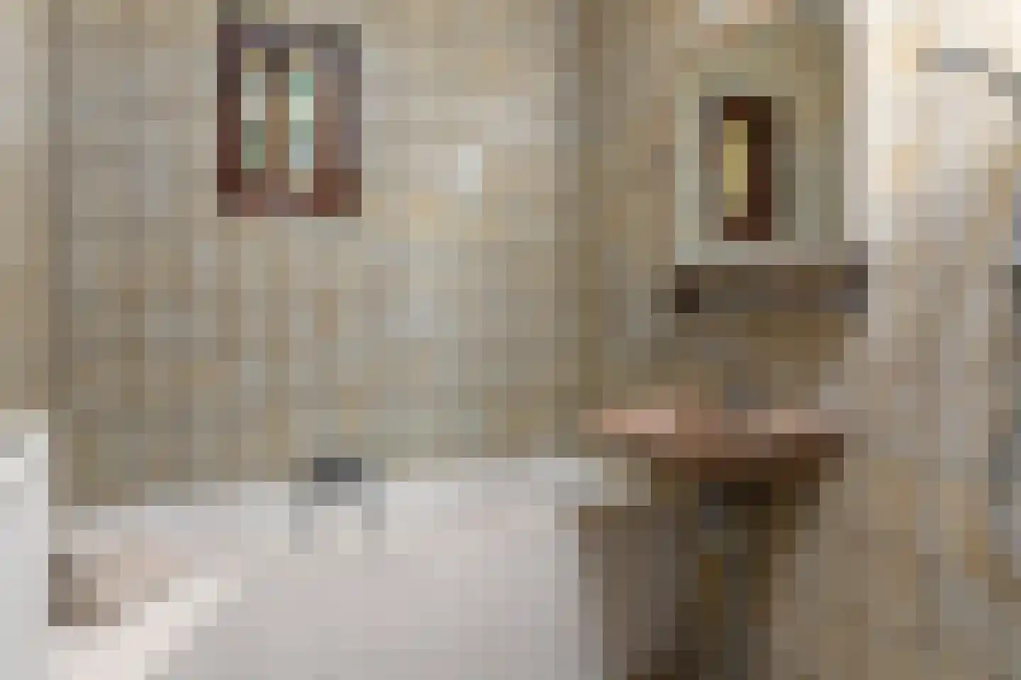 Buorren 89 Houtigehage thumbnail 19