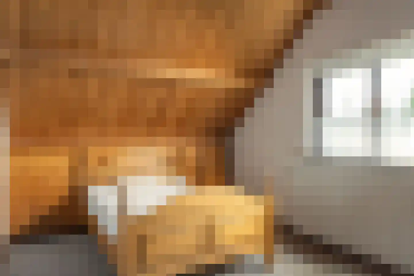 Buorren 89 Houtigehage thumbnail 24