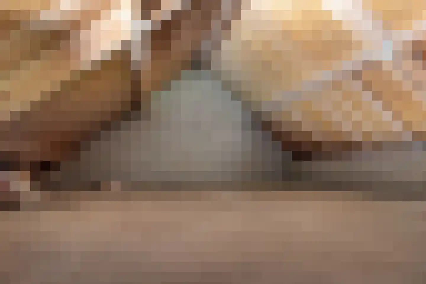 Buorren 89 Houtigehage thumbnail 30