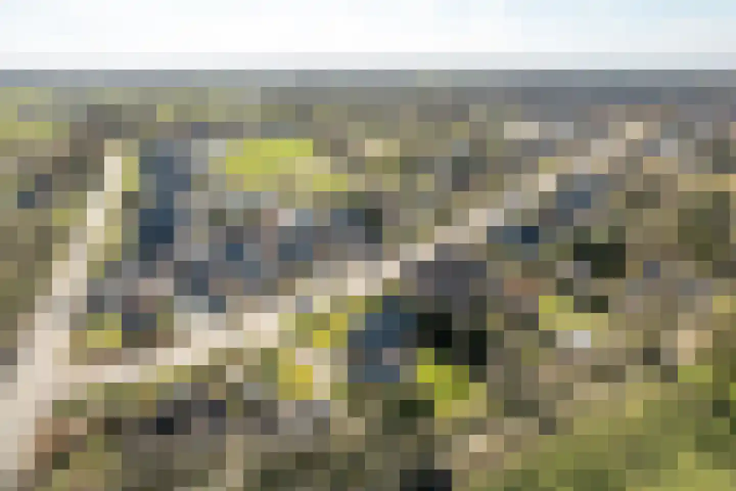 Buorren 89 Houtigehage thumbnail 33