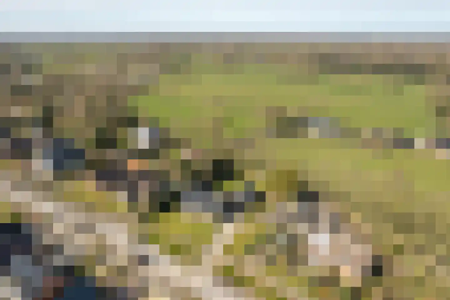 Buorren 89 Houtigehage thumbnail 34