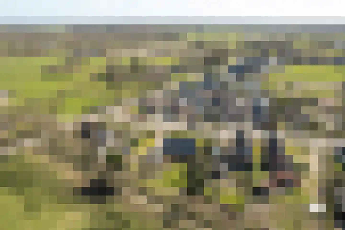 Buorren 89 Houtigehage thumbnail 37