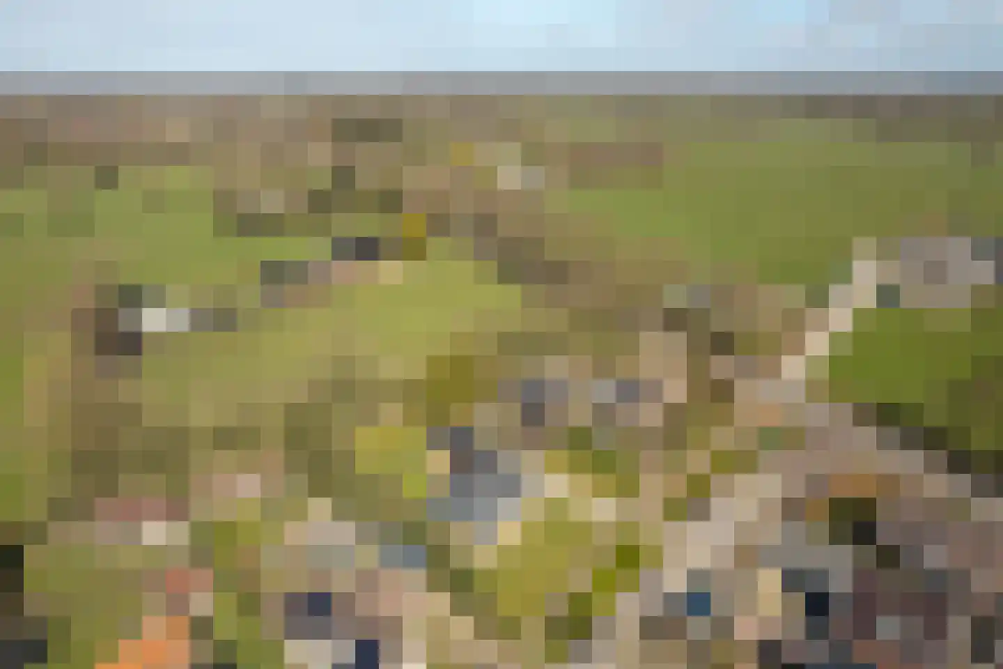 Buorren 89 Houtigehage thumbnail 38