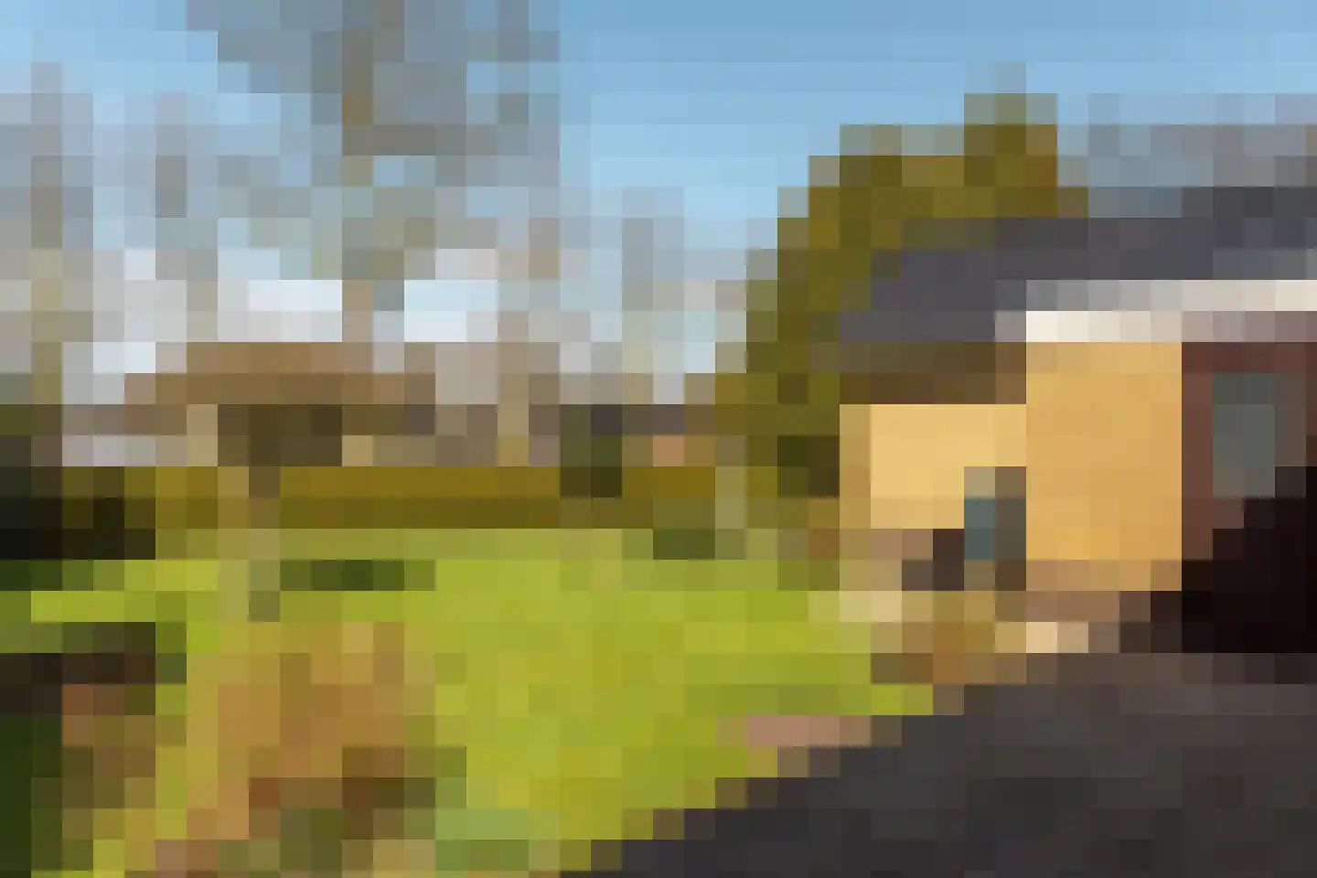 Buorren 89 Houtigehage thumbnail 39