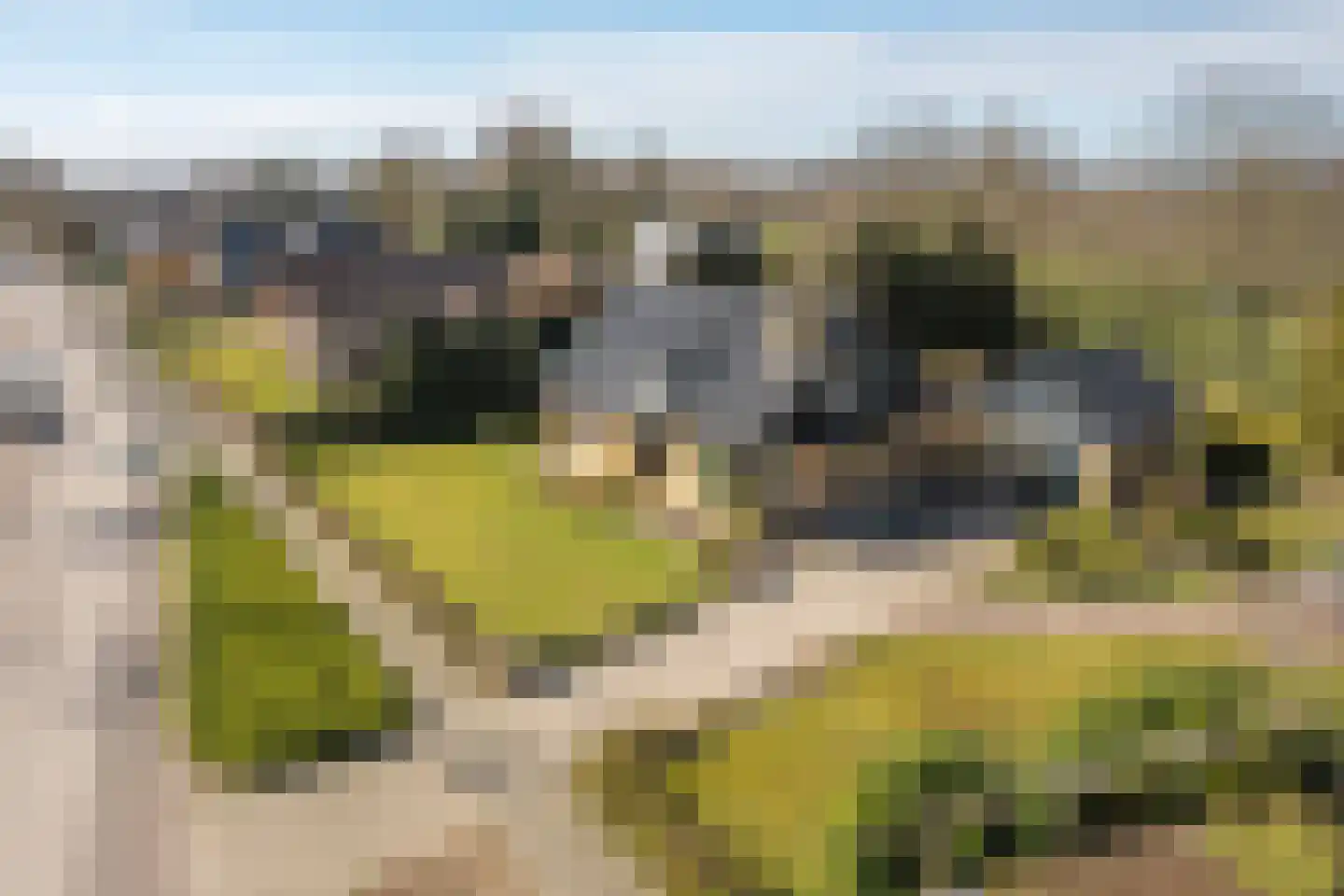 Buorren 89 Houtigehage thumbnail 4