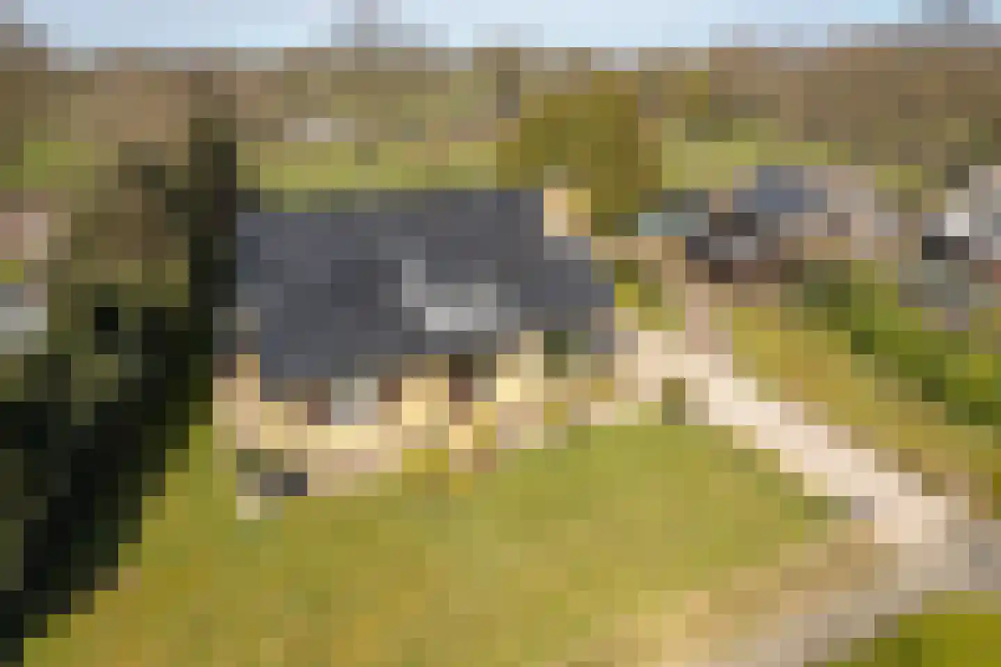 Buorren 89 Houtigehage thumbnail 41