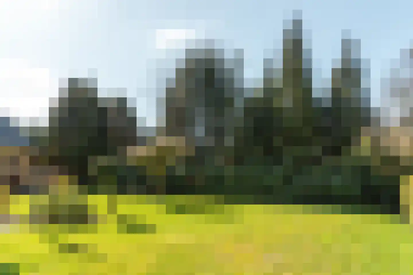 Buorren 89 Houtigehage thumbnail 42