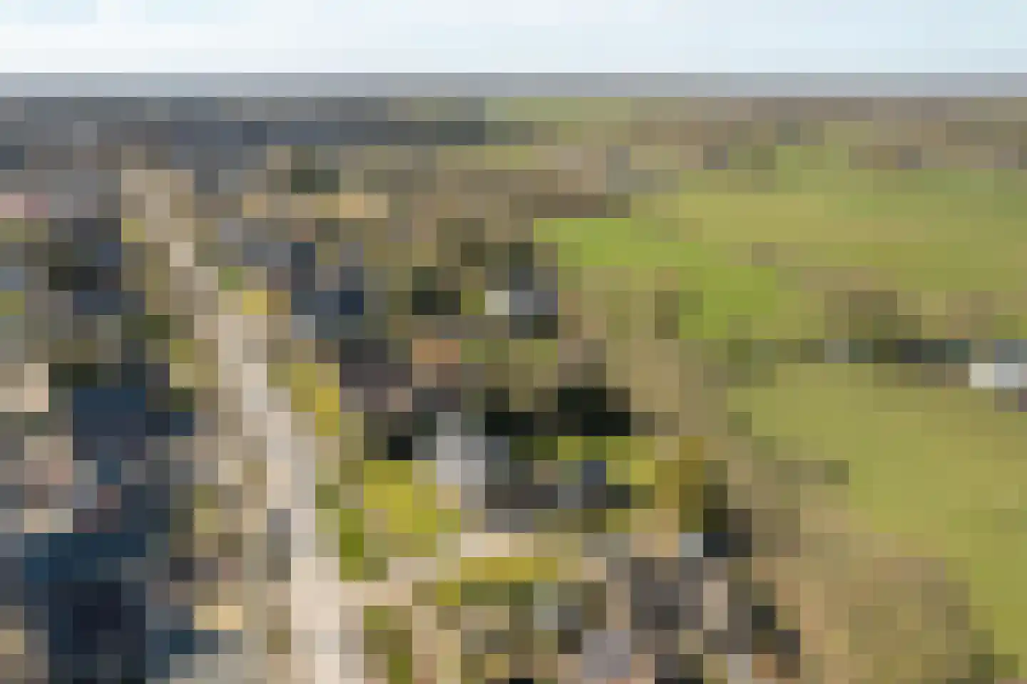Buorren 89 Houtigehage thumbnail 5
