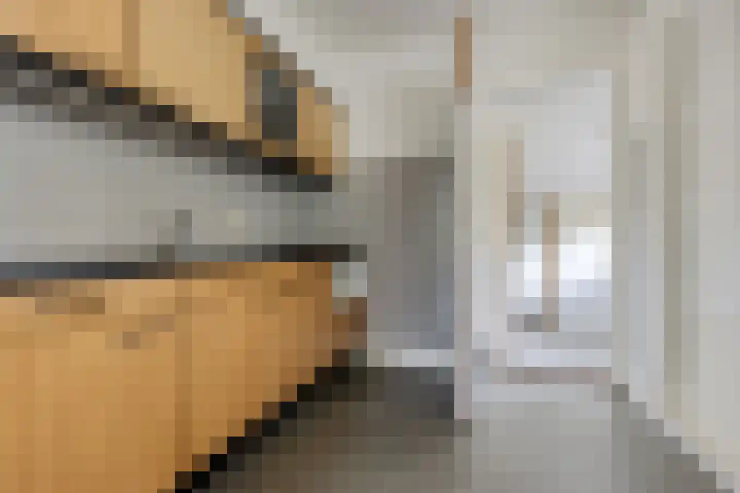 Buorren 9 Elahuizen thumbnail 10