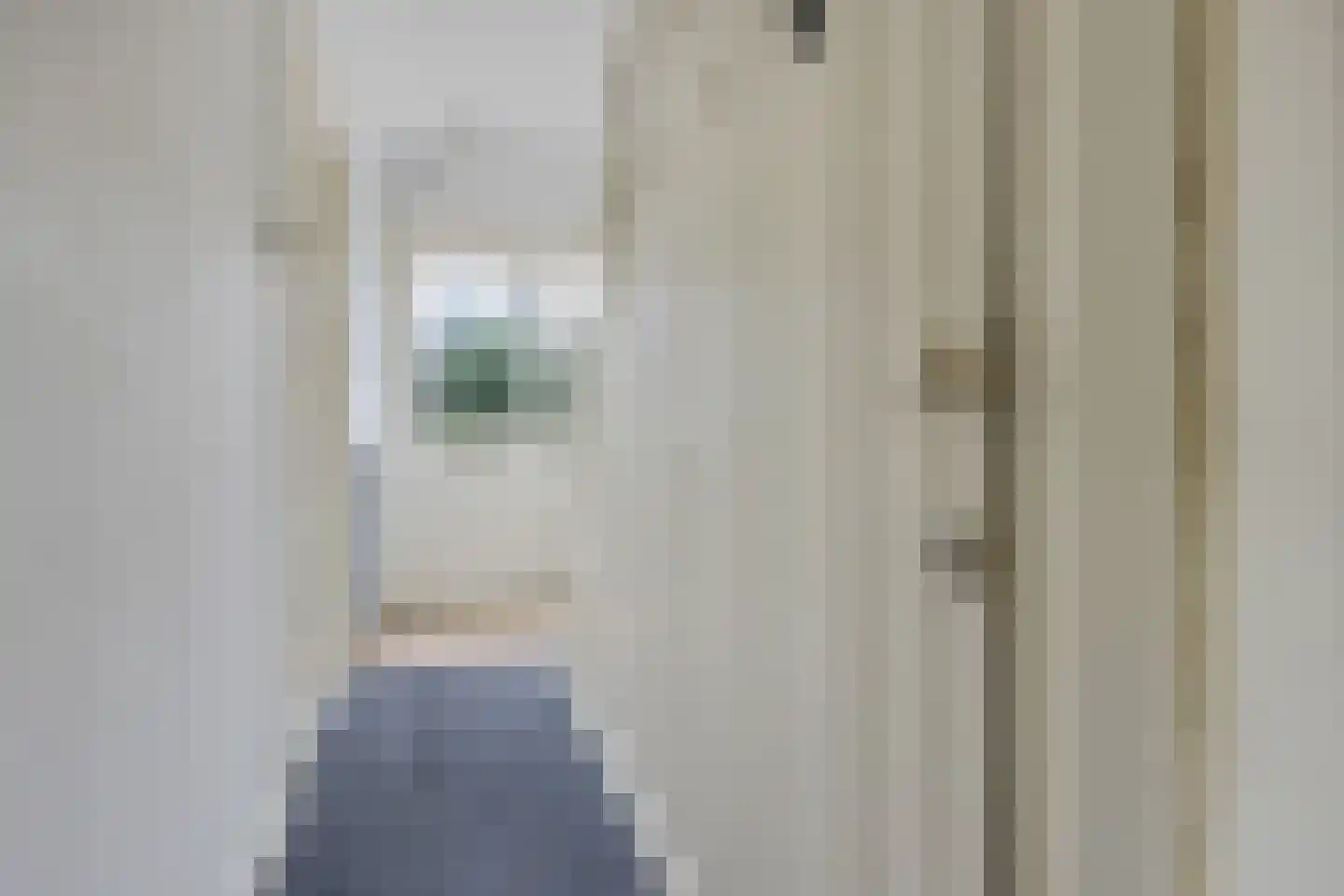 Buorren 9 Elahuizen thumbnail 19