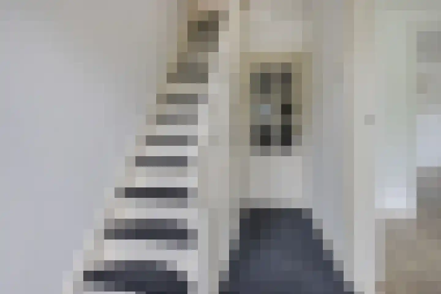 Buorren 9 Elahuizen thumbnail 22