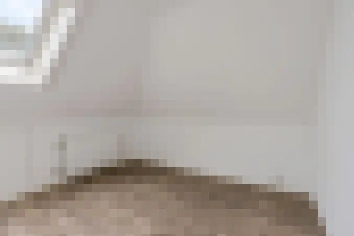 Buorren 9 Elahuizen thumbnail 28