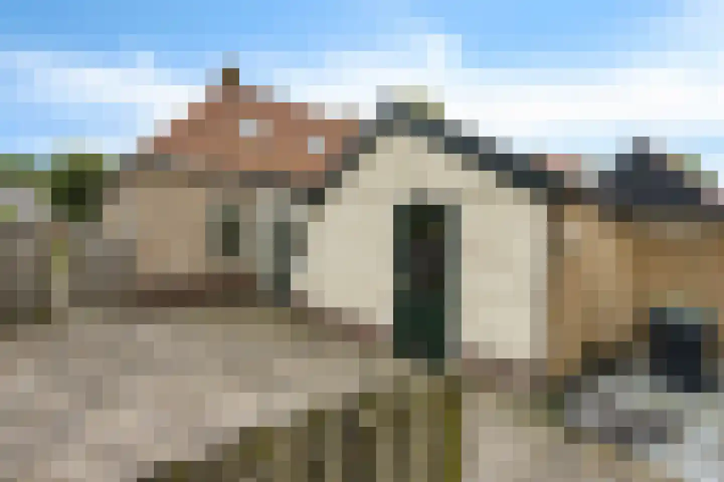 Buorren 9 Elahuizen thumbnail 31