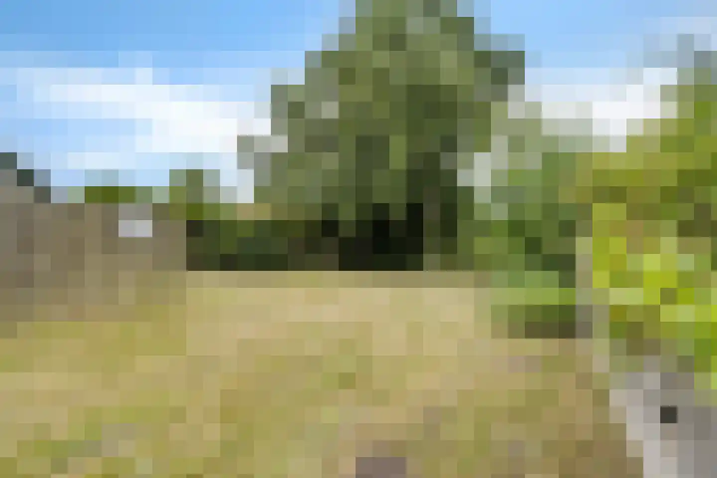 Buorren 9 Elahuizen thumbnail 35