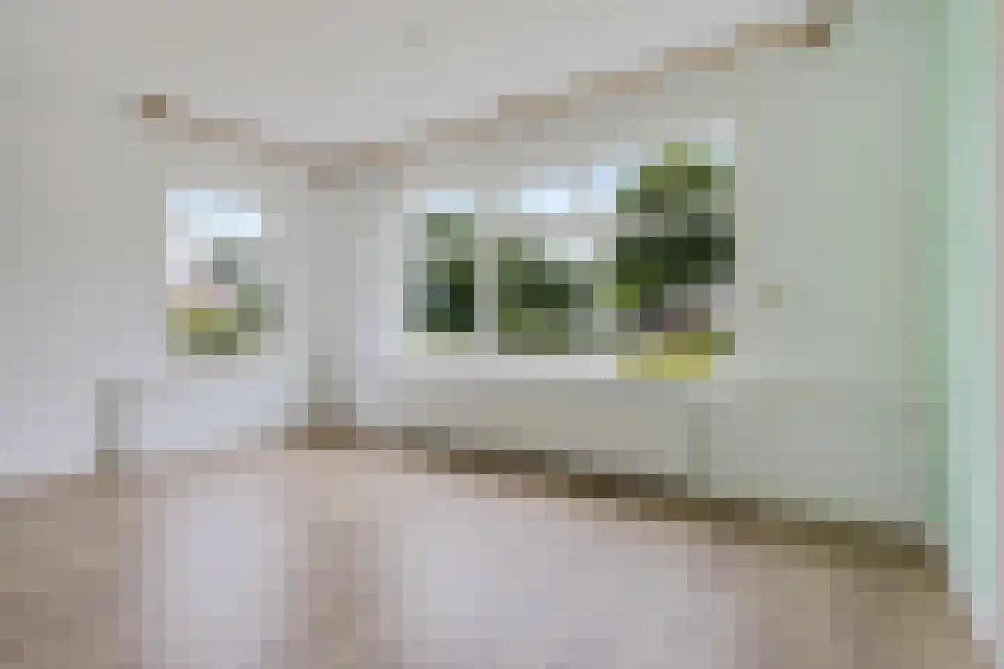 Buorren 9 Elahuizen thumbnail 5