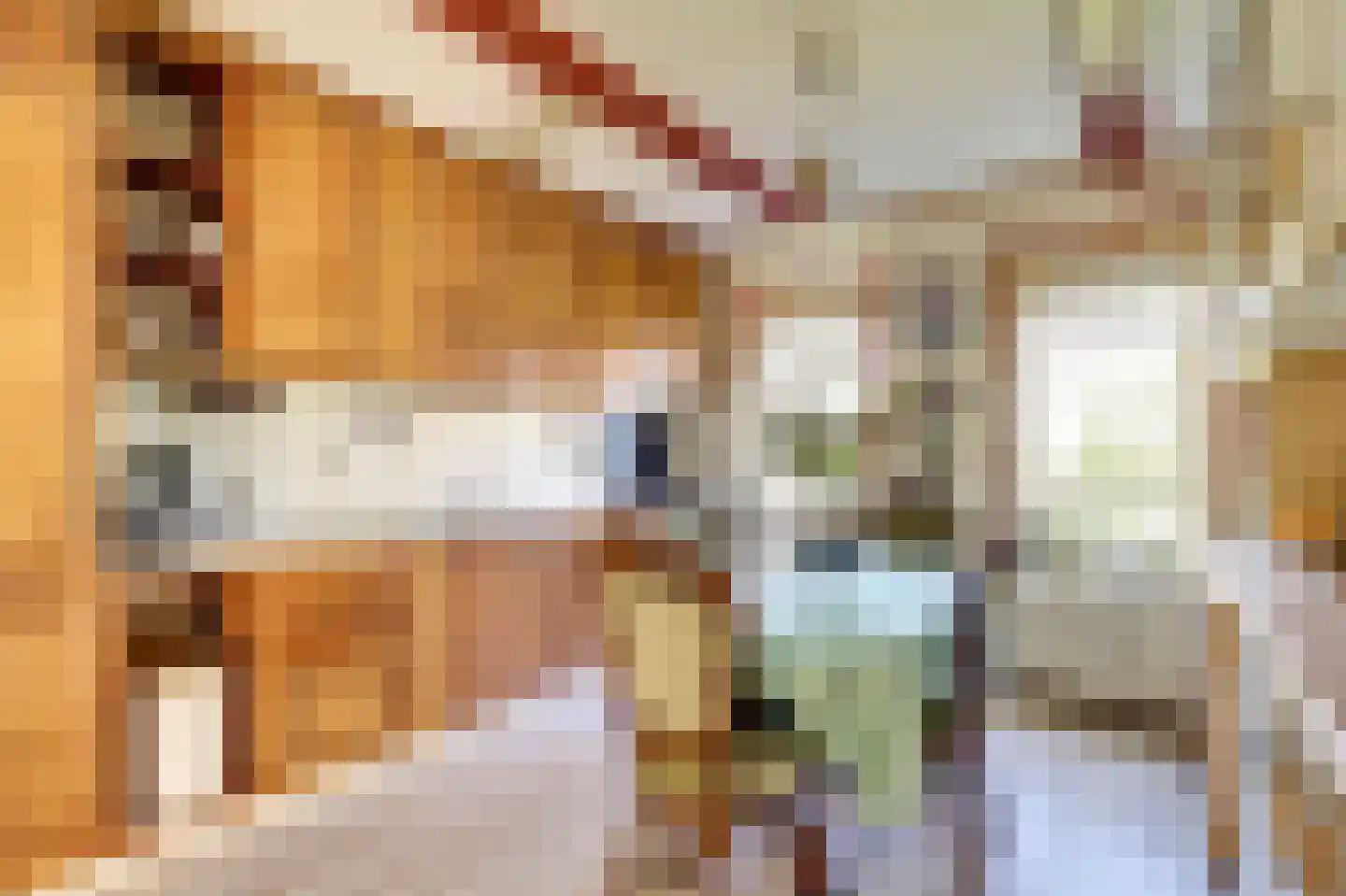 Buorren 9 Harlingen thumbnail 10