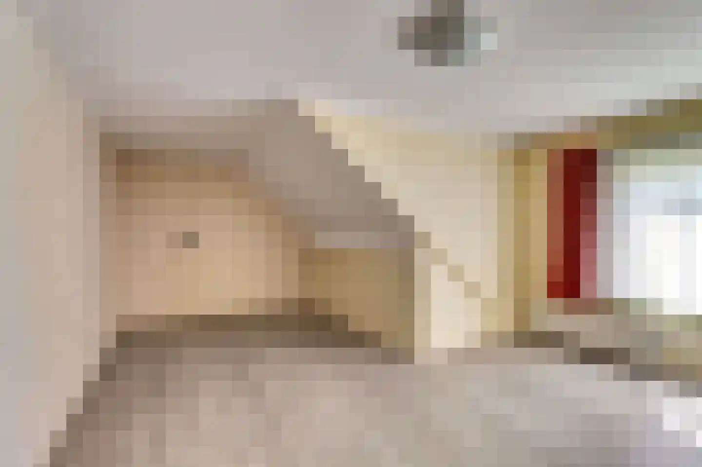 Buorren 9 Harlingen thumbnail 15