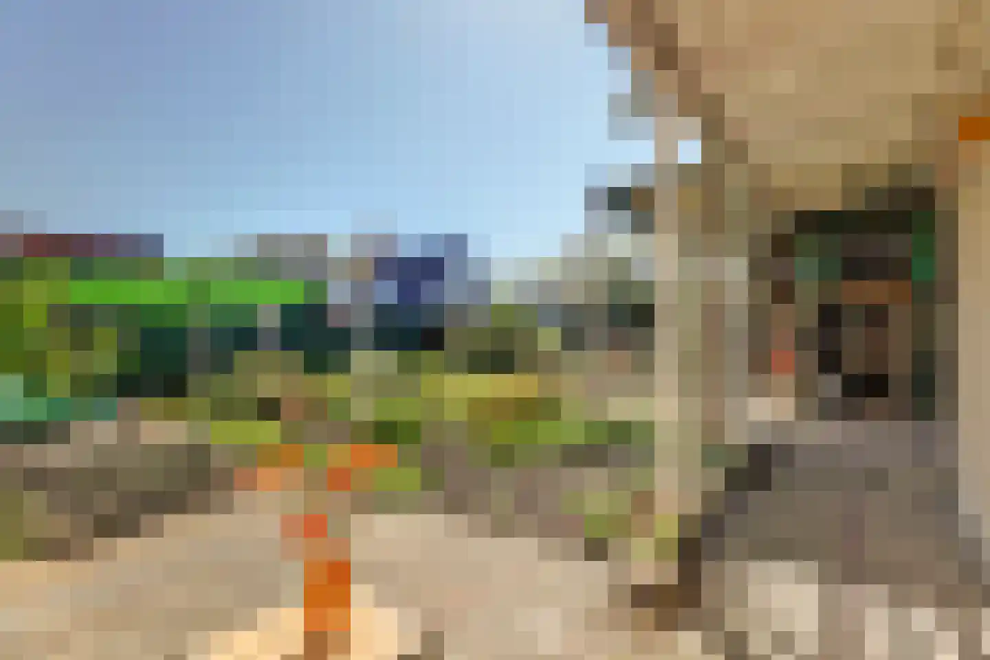 Buorren 9 Harlingen thumbnail 36