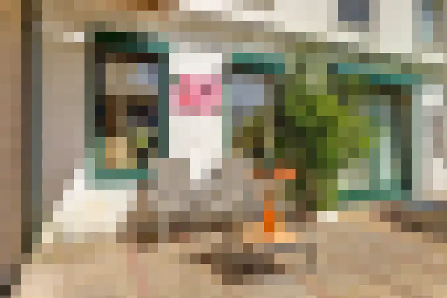 Buorren 9 Harlingen thumbnail 39