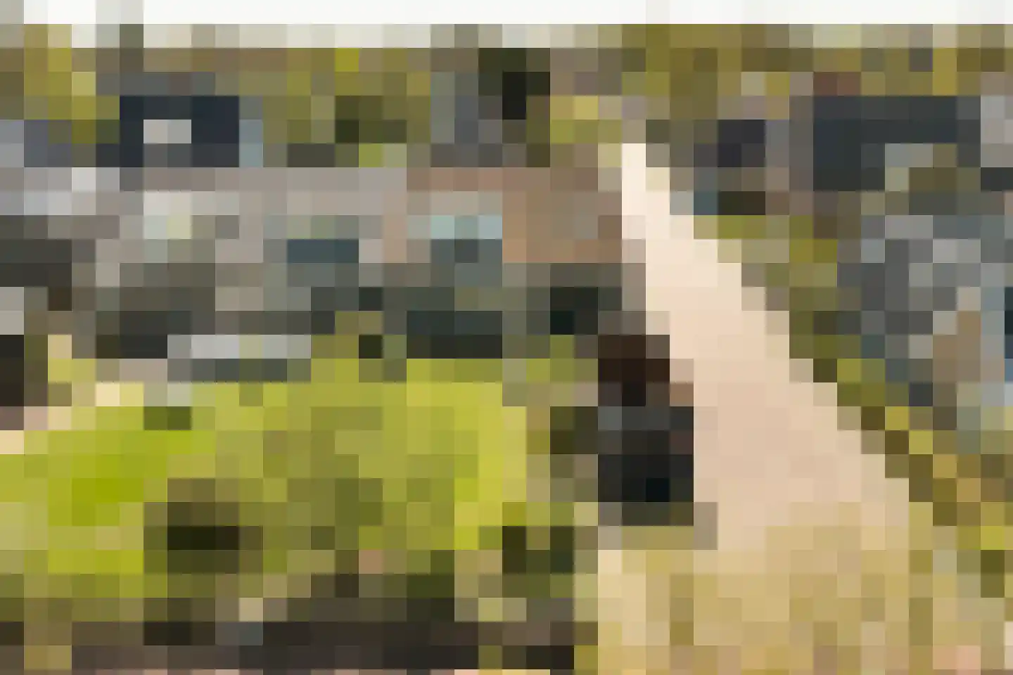 Buorren 9 Harlingen thumbnail 43