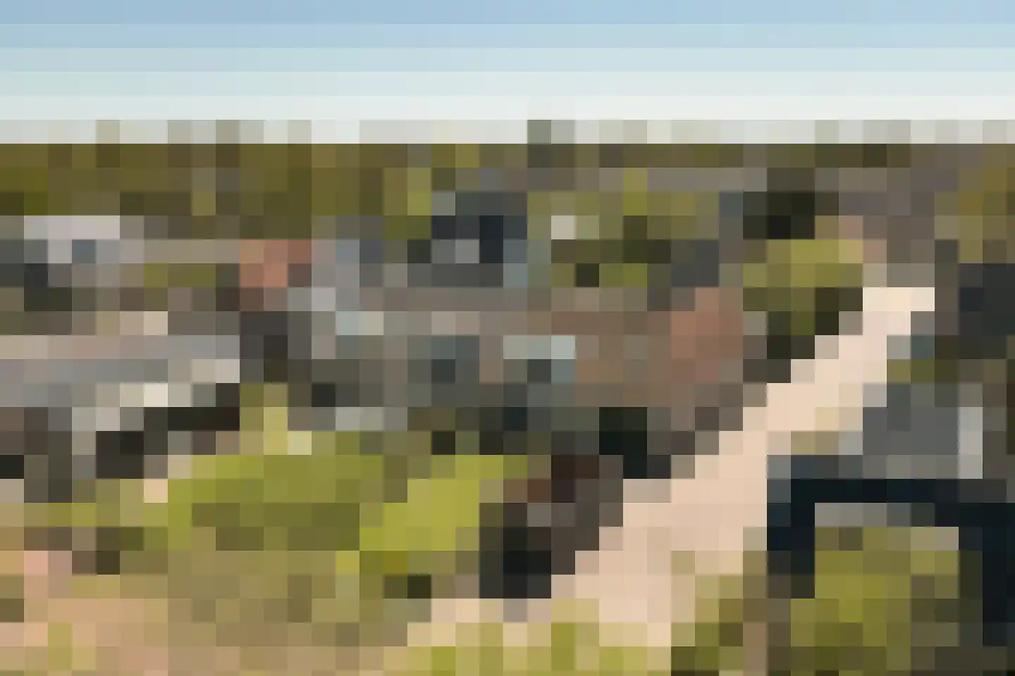Buorren 9 Harlingen thumbnail 48
