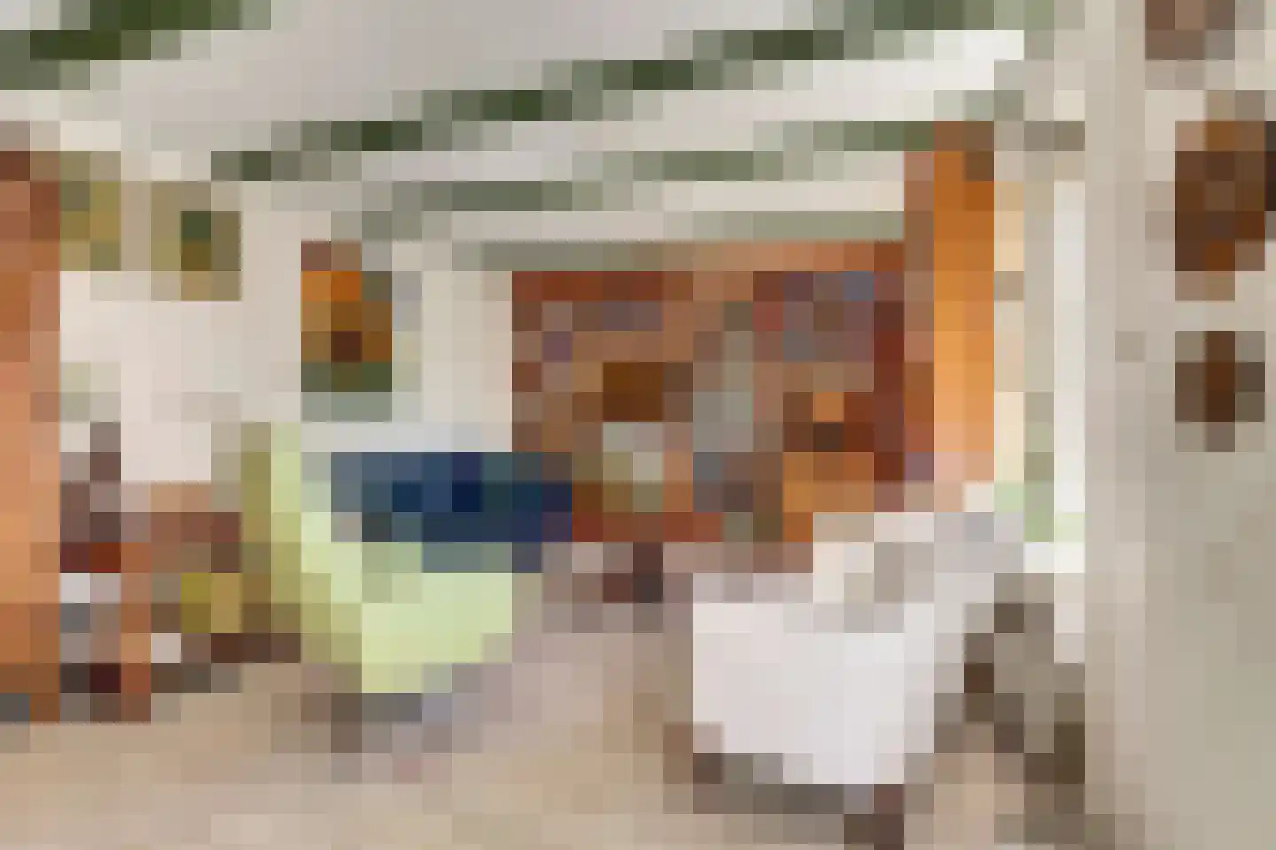 Buorren 9 Harlingen thumbnail 6