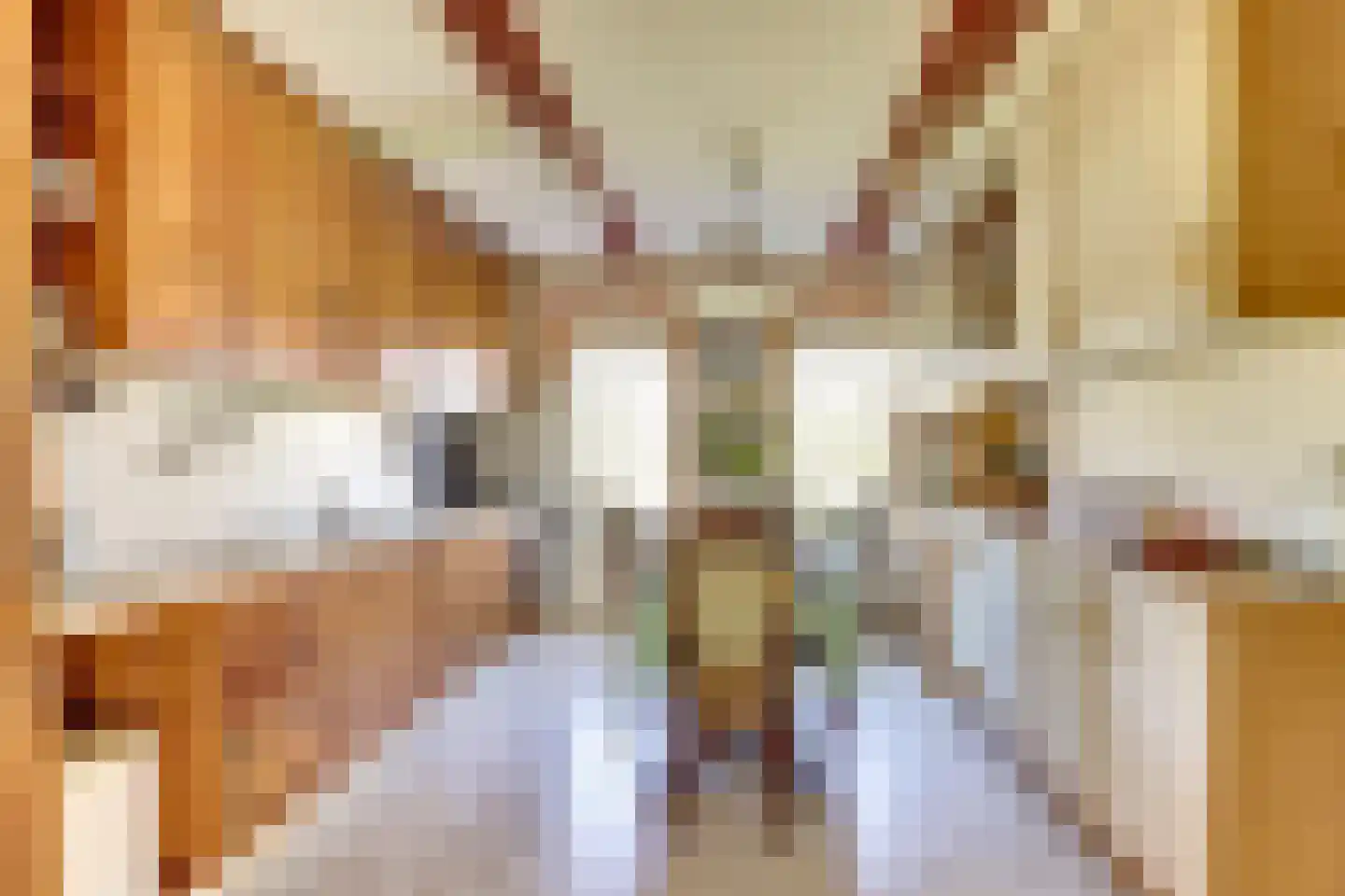 Buorren 9 Harlingen thumbnail 9