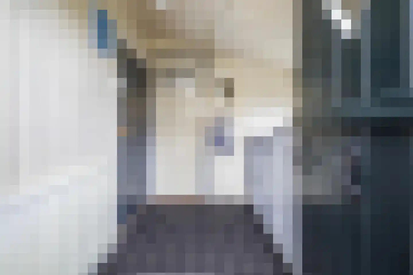 Buorren 98 Terherne thumbnail 10