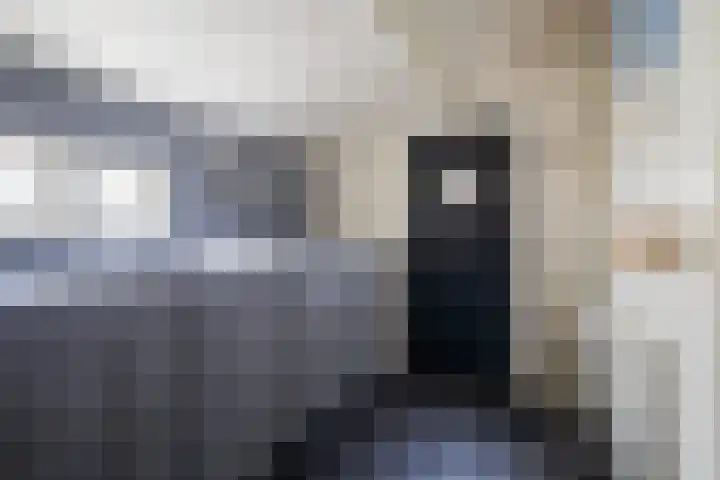 Buorren 98 Terherne thumbnail 11