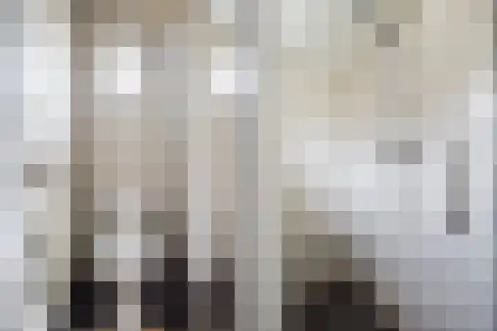 Buorren 98 Terherne thumbnail 18