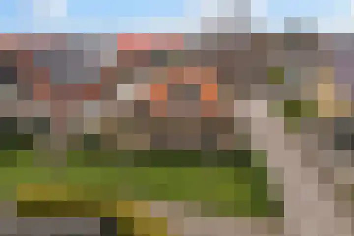 Buorren 98 Terherne thumbnail 25