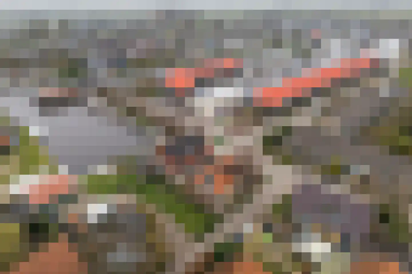 Buorren 98 Terherne thumbnail 28