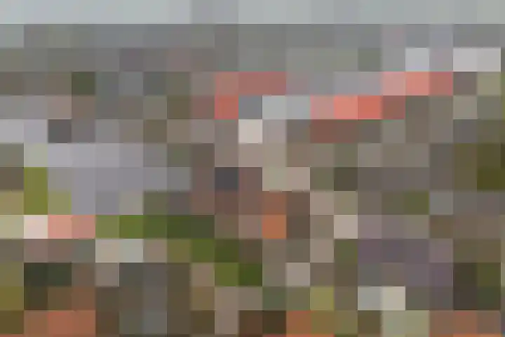 Buorren 98 Terherne thumbnail 28