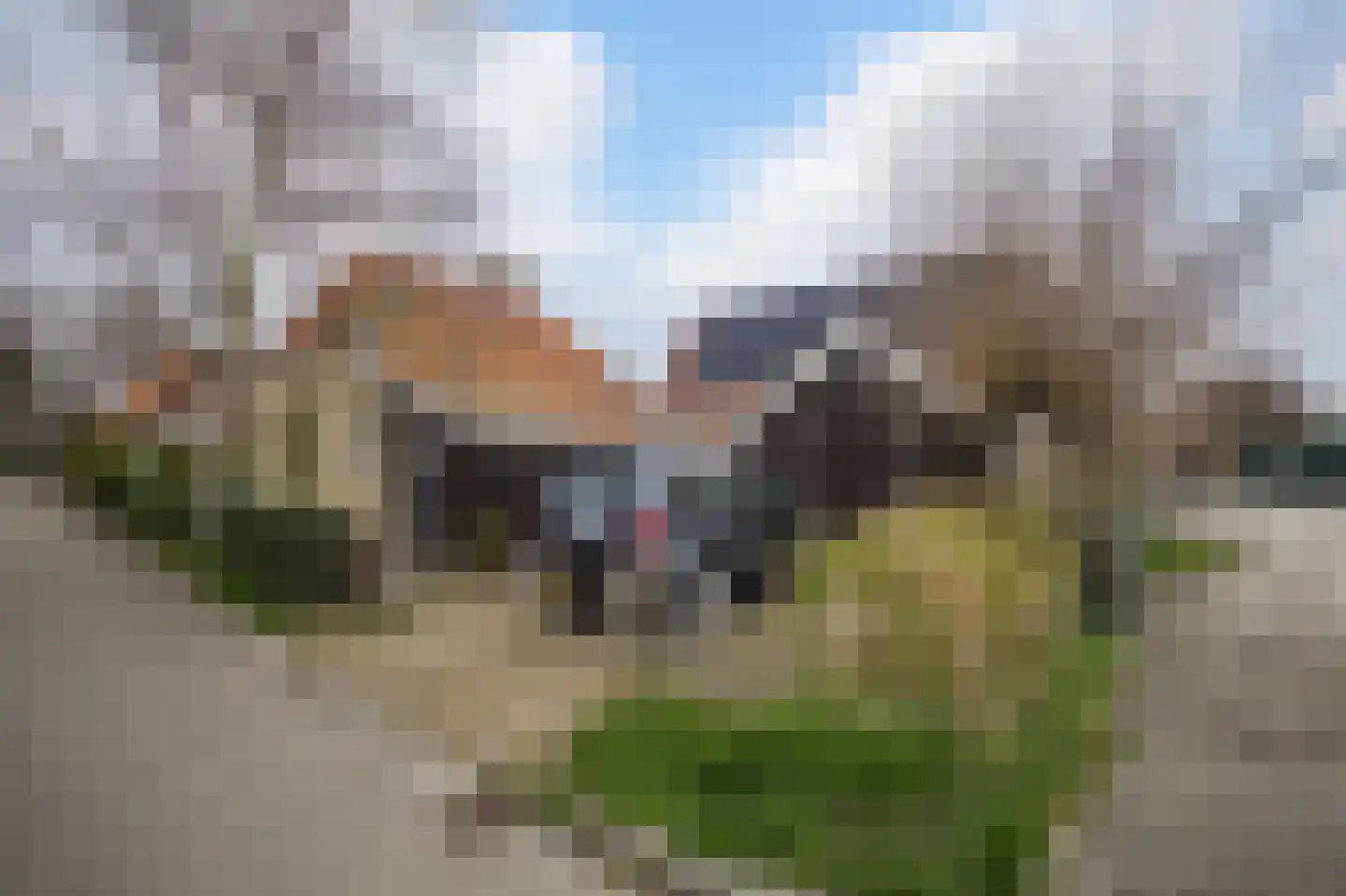 Buorren 98 Terherne thumbnail 5