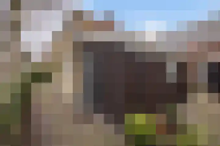 Buorren 98 Terherne thumbnail 6