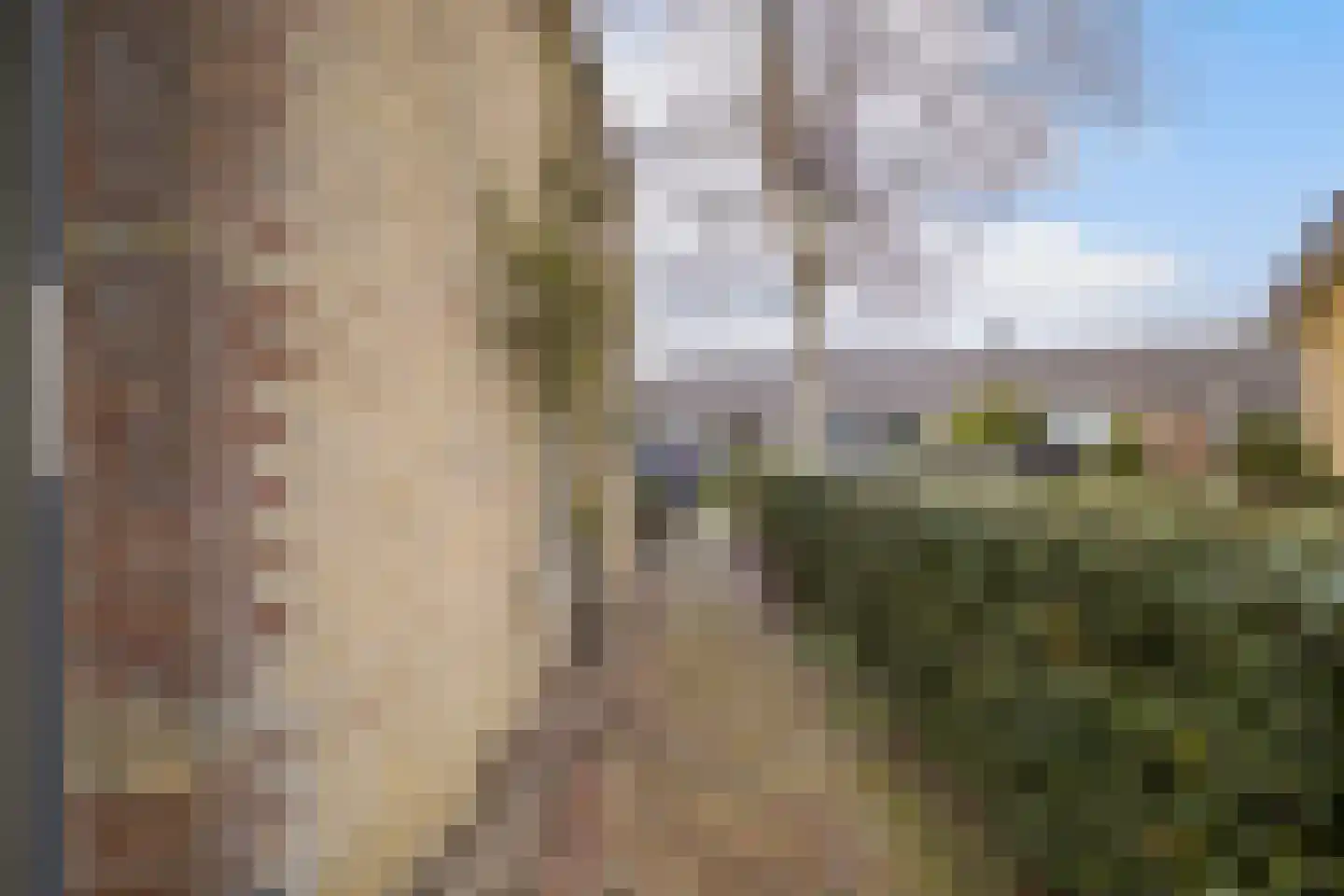 Buorren 98 Terherne thumbnail 8