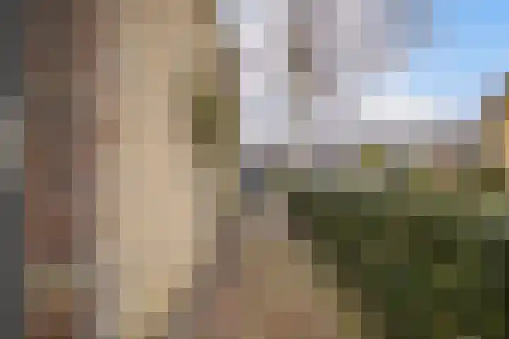 Buorren 98 Terherne thumbnail 8