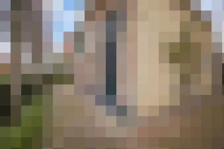 Buorren 98 Terherne thumbnail 9