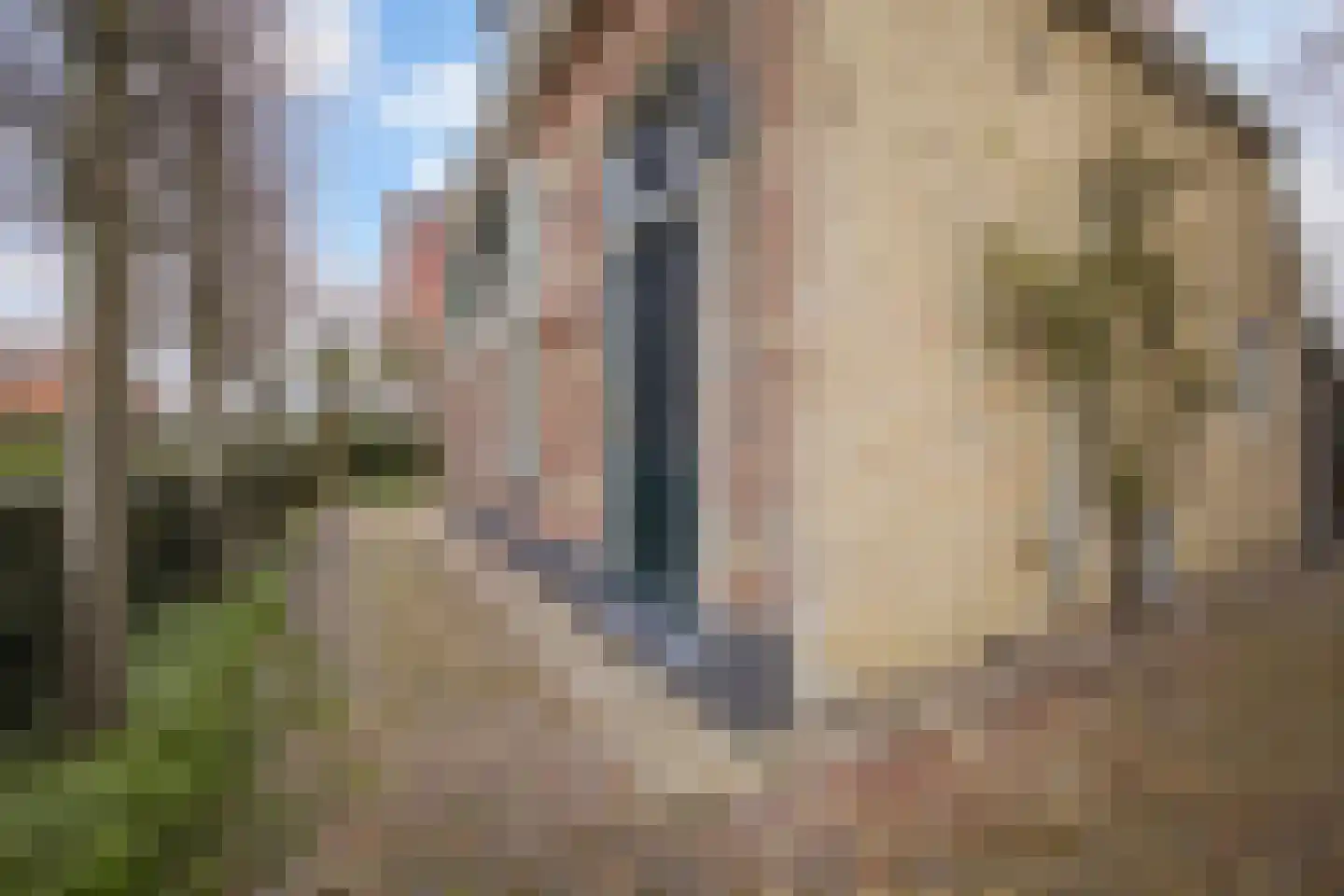 Buorren 98 Terherne thumbnail 9