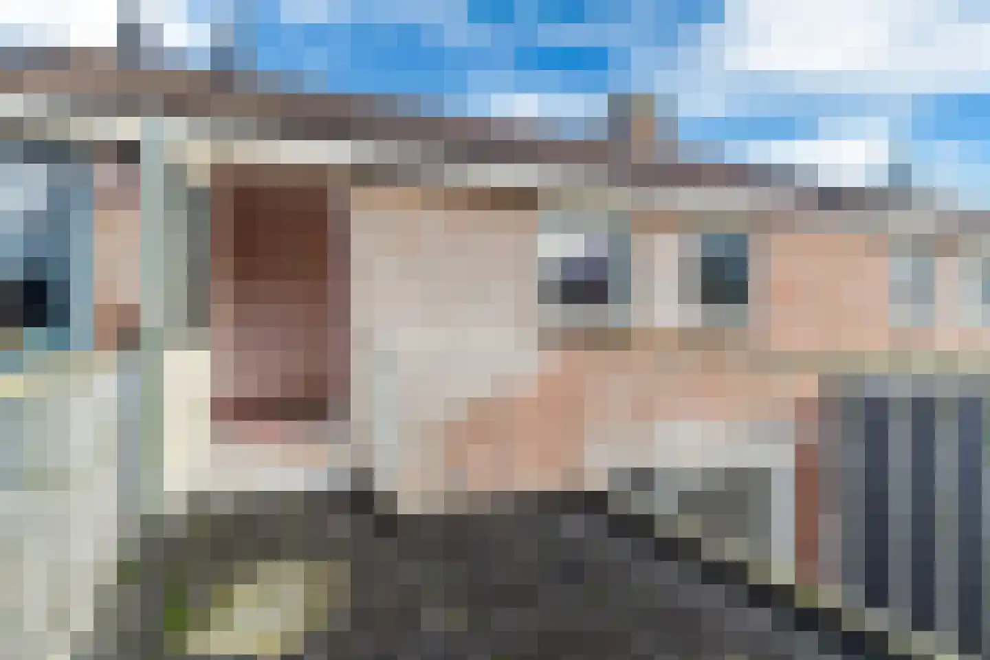Buorsterwyk 12 Lippenhuizen thumbnail 17
