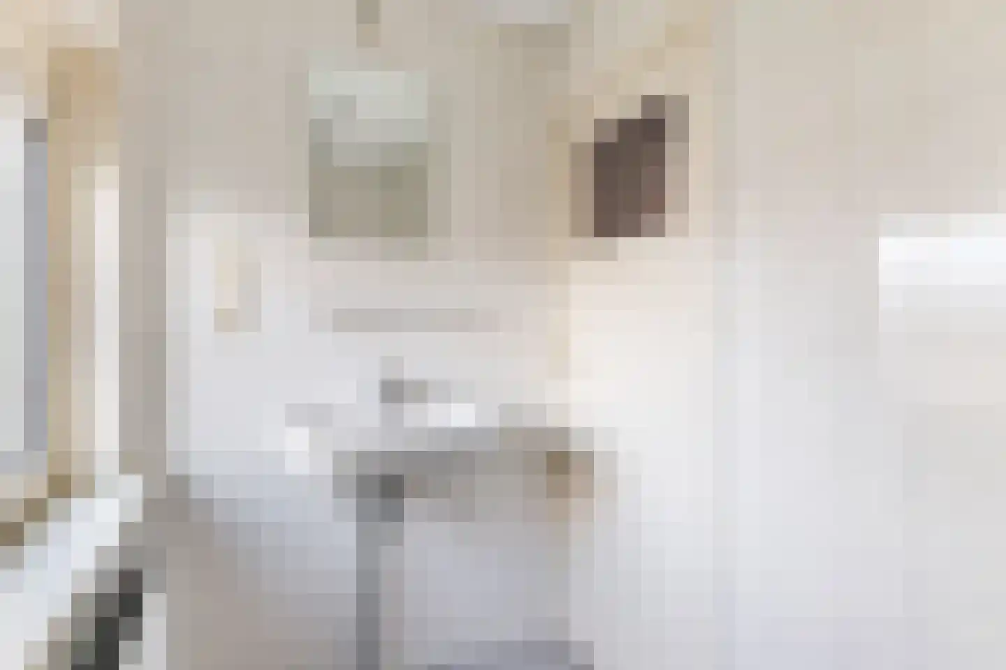 Buorsterwyk 12 Lippenhuizen thumbnail 22
