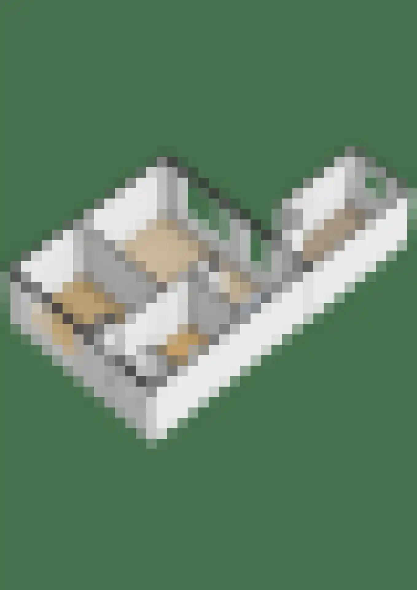 Buorsterwyk 12 Lippenhuizen thumbnail 26