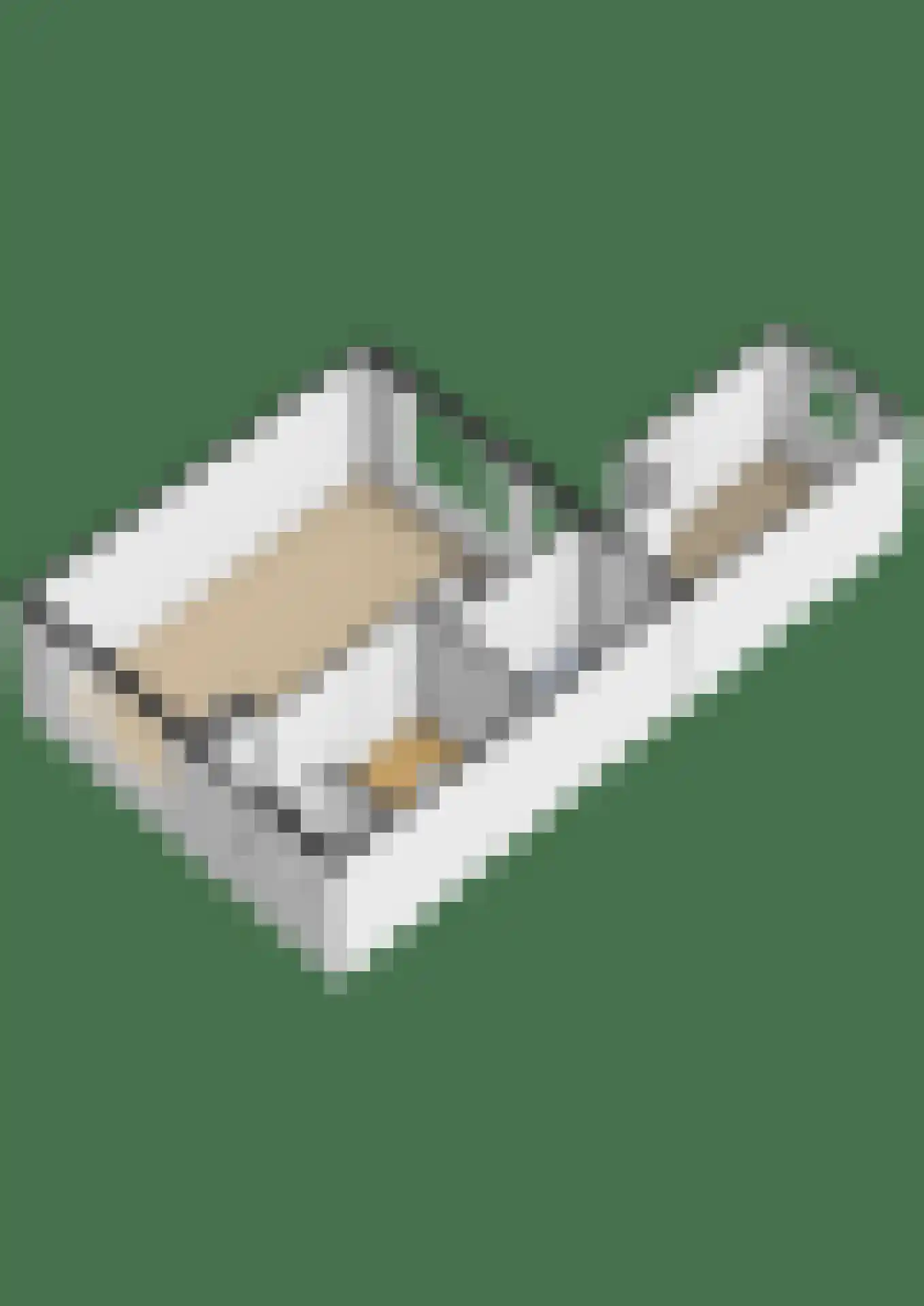 Buorsterwyk 12 Lippenhuizen thumbnail 27