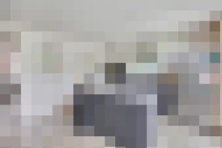 Buorsterwyk 14 Lippenhuizen thumbnail 11
