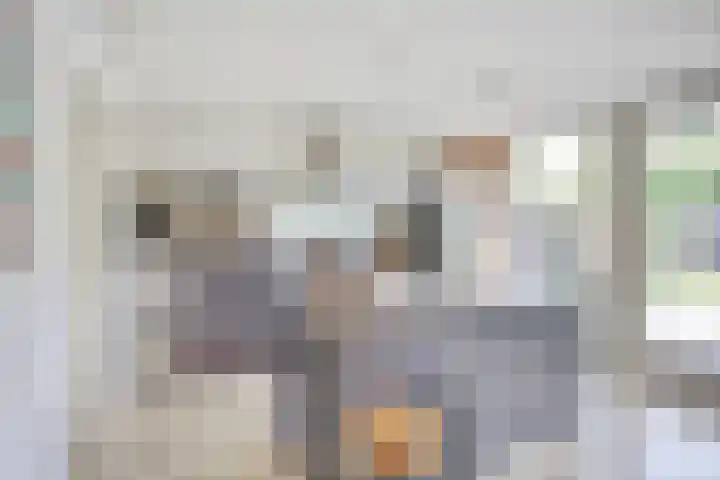 Buorsterwyk 14 Lippenhuizen thumbnail 12