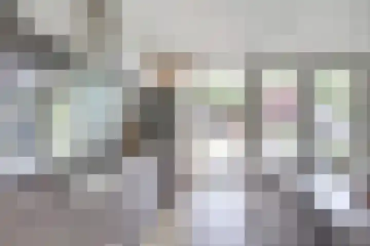 Buorsterwyk 14 Lippenhuizen thumbnail 13