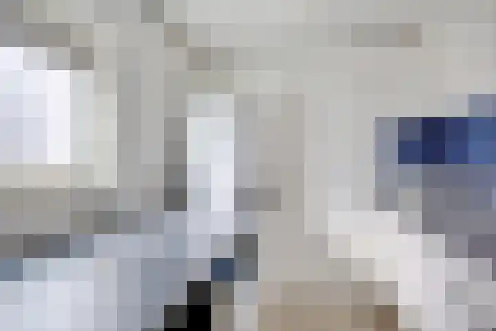 Buorsterwyk 14 Lippenhuizen thumbnail 14