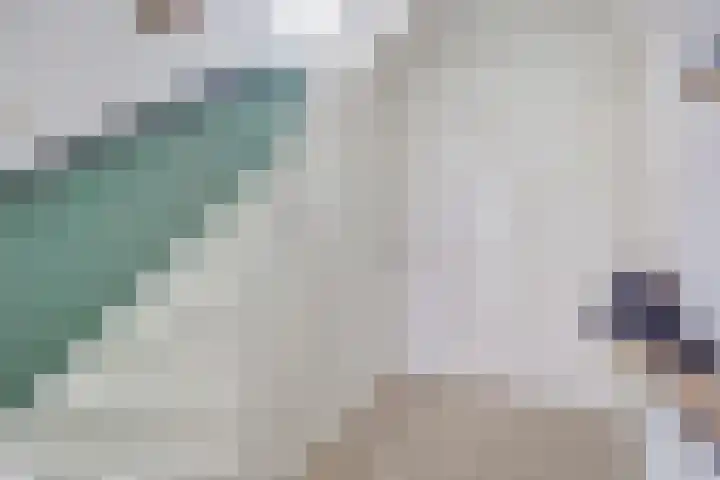 Buorsterwyk 14 Lippenhuizen thumbnail 17
