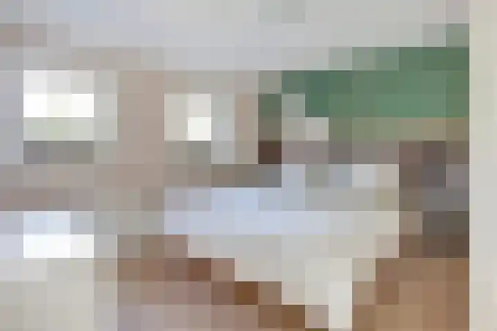 Buorsterwyk 14 Lippenhuizen thumbnail 18